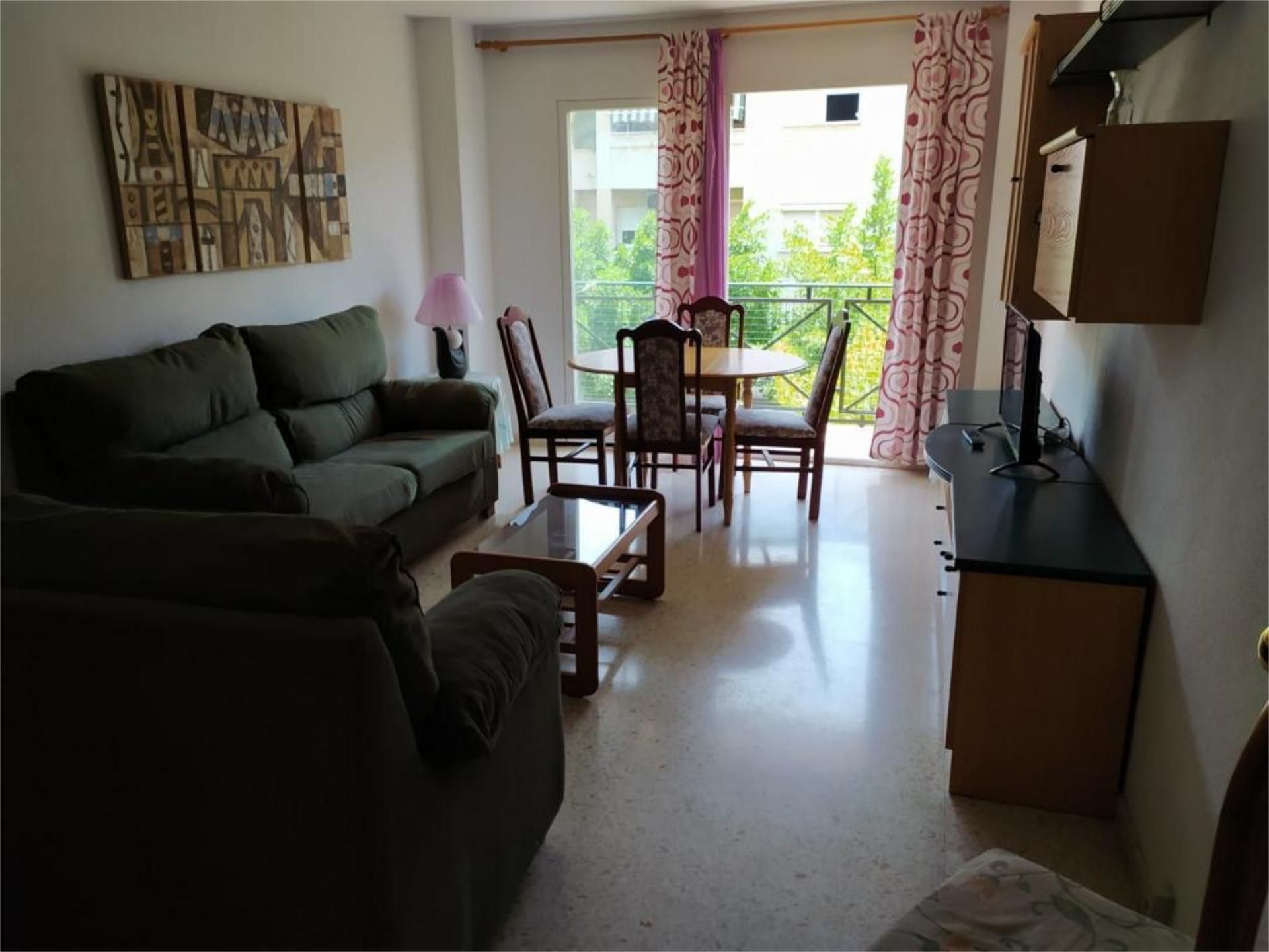 Living room of Flat to rent in Málaga Capital  with Terrace