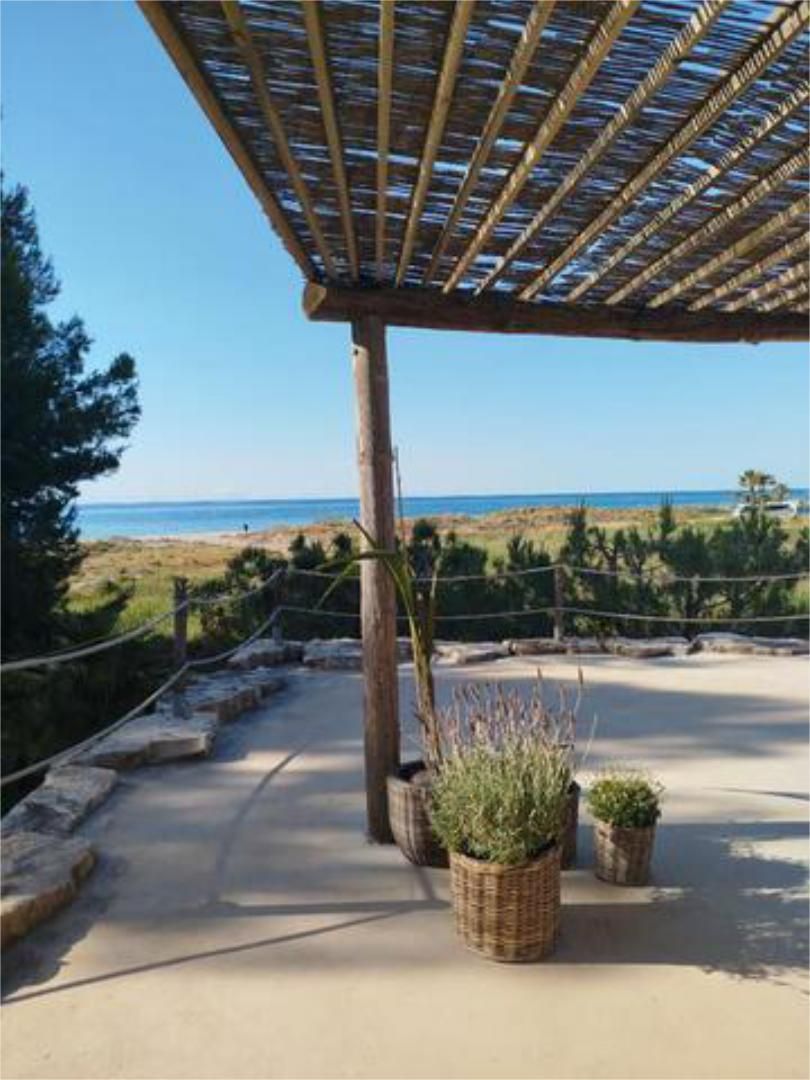 Garden of House or chalet to rent in Mont-roig del Camp