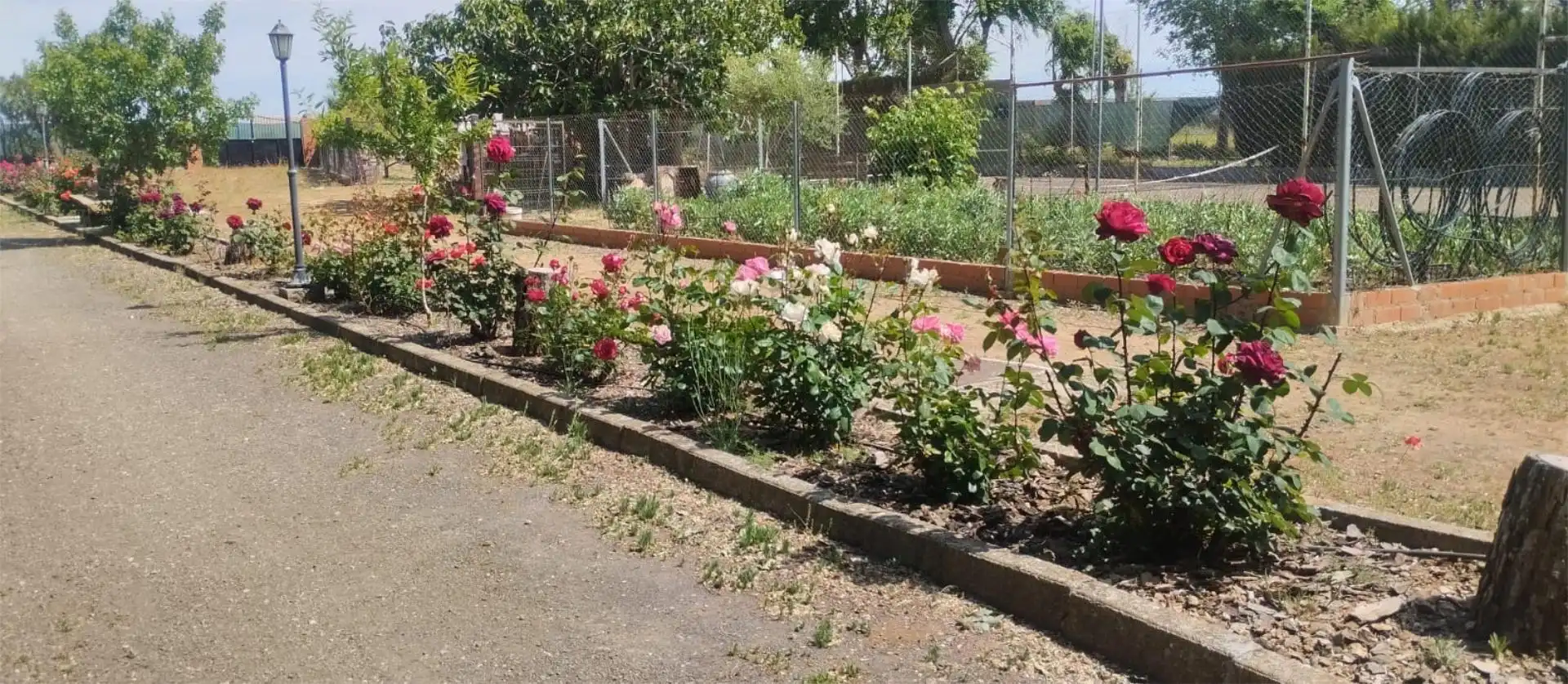 Casa o chalet en venta en Poblado Poblachuela Anj, 252, La Poblachuela Jardín de Casa o chalet en venta en Ciudad Real con Aire acondicionado, Calefacción y Jardín privado