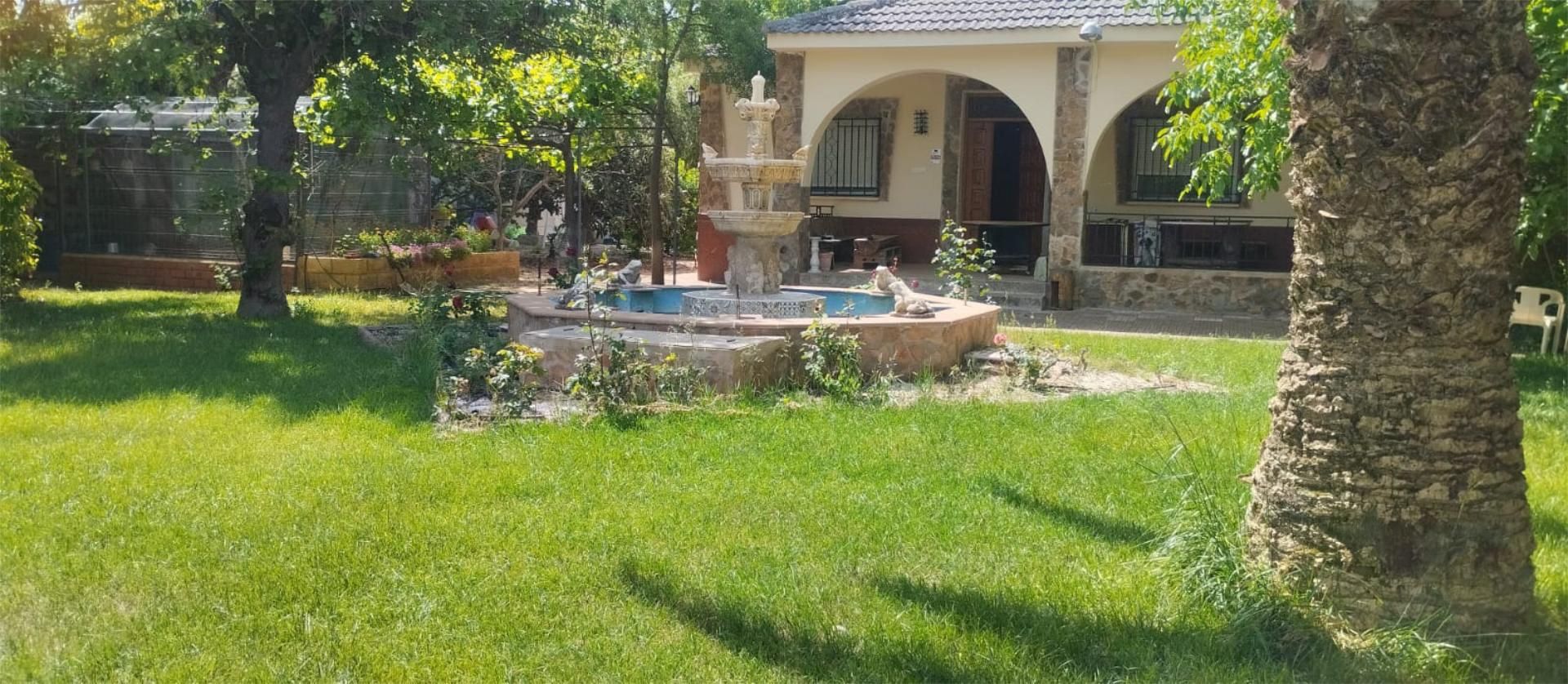 Jardí de Casa o xalet en venda en Ciudad Real Capital amb Aire condicionat, Terrassa i Piscina
