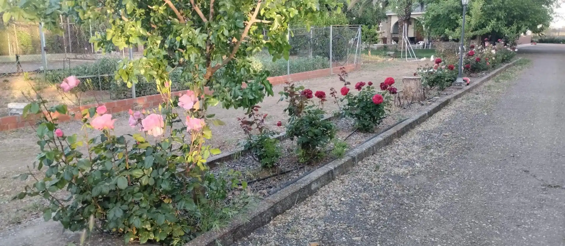 Houses for sale in Calle Rusia, 45, Ciudad Jardín Garden of Houses for sale in Ciudad Real Capital with Air Conditioner, Terrace and Swimming Pool