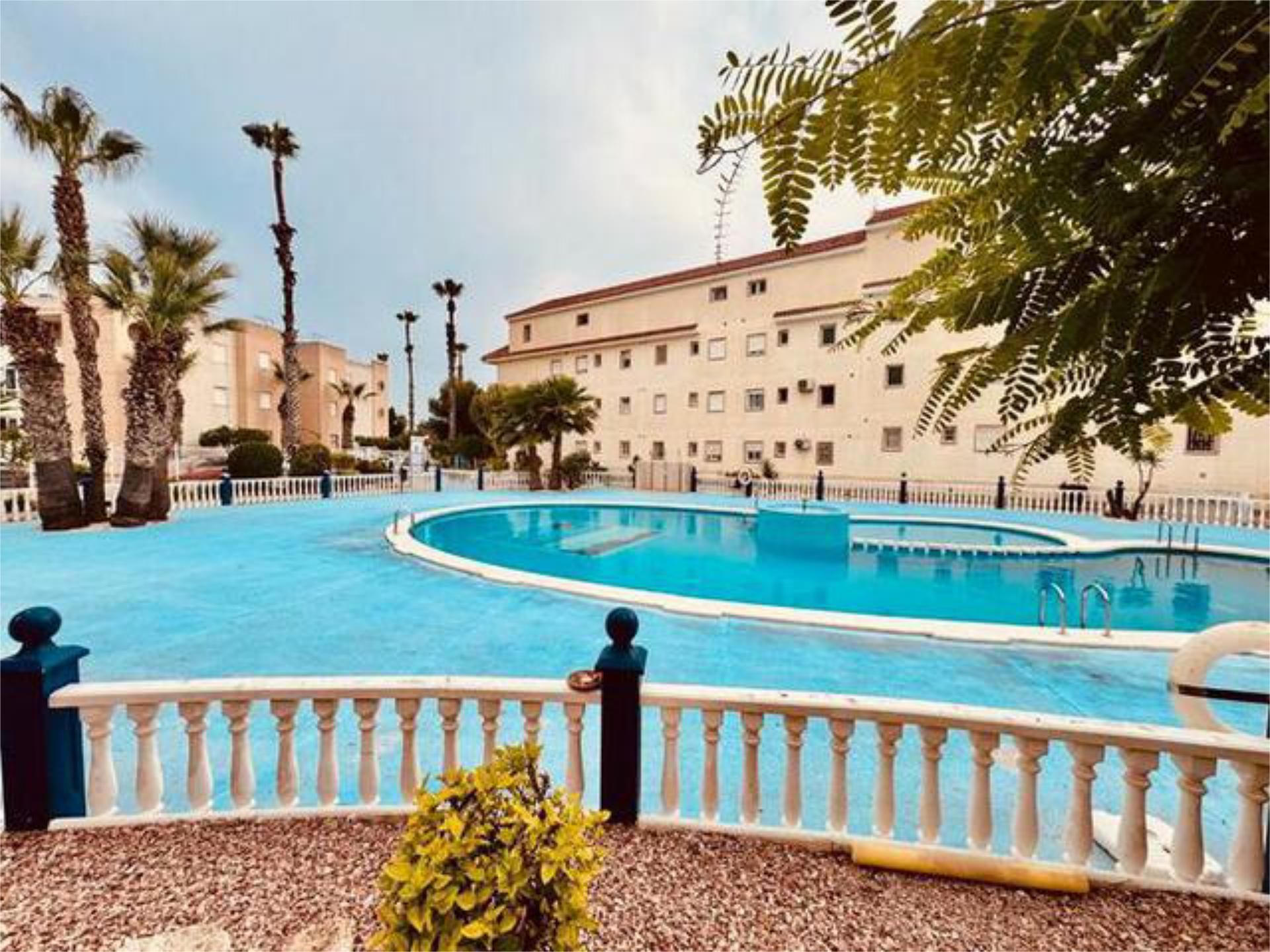 Piscina de Apartament de lloguer en Torrevieja amb Jardí privat, Terrassa i Piscina