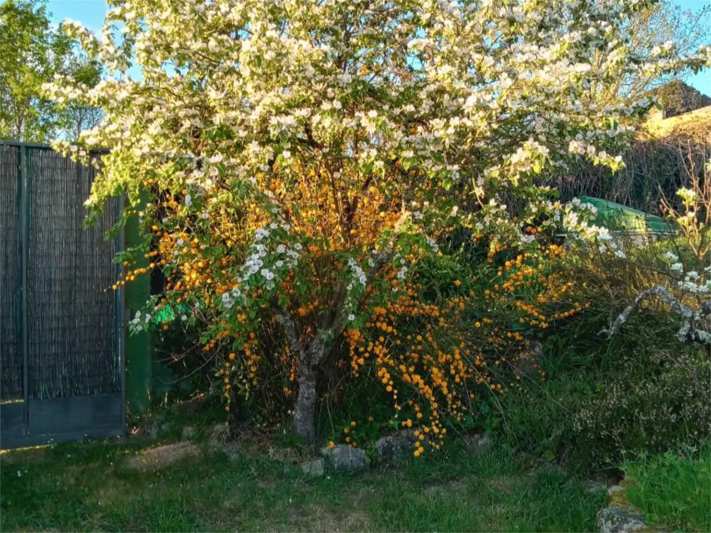Garden of Flat for sale in Amoeiro  with Heating, Private garden and Parquet flooring