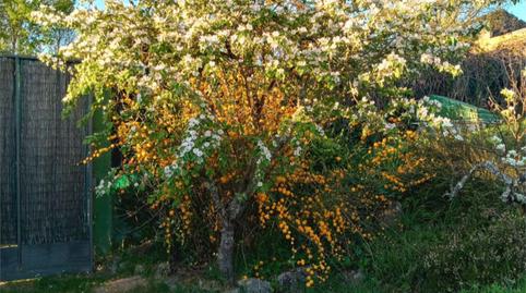Foto 4 de Pis en venda a Rúa Bazacos, 9, Amoeiro, Ourense