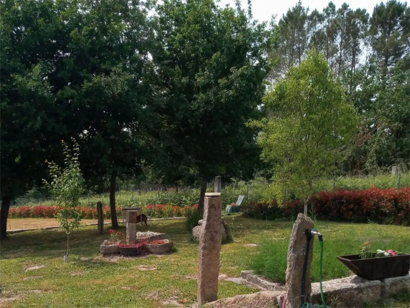 Garden of Flat for sale in Amoeiro  with Heating, Private garden and Parquet flooring