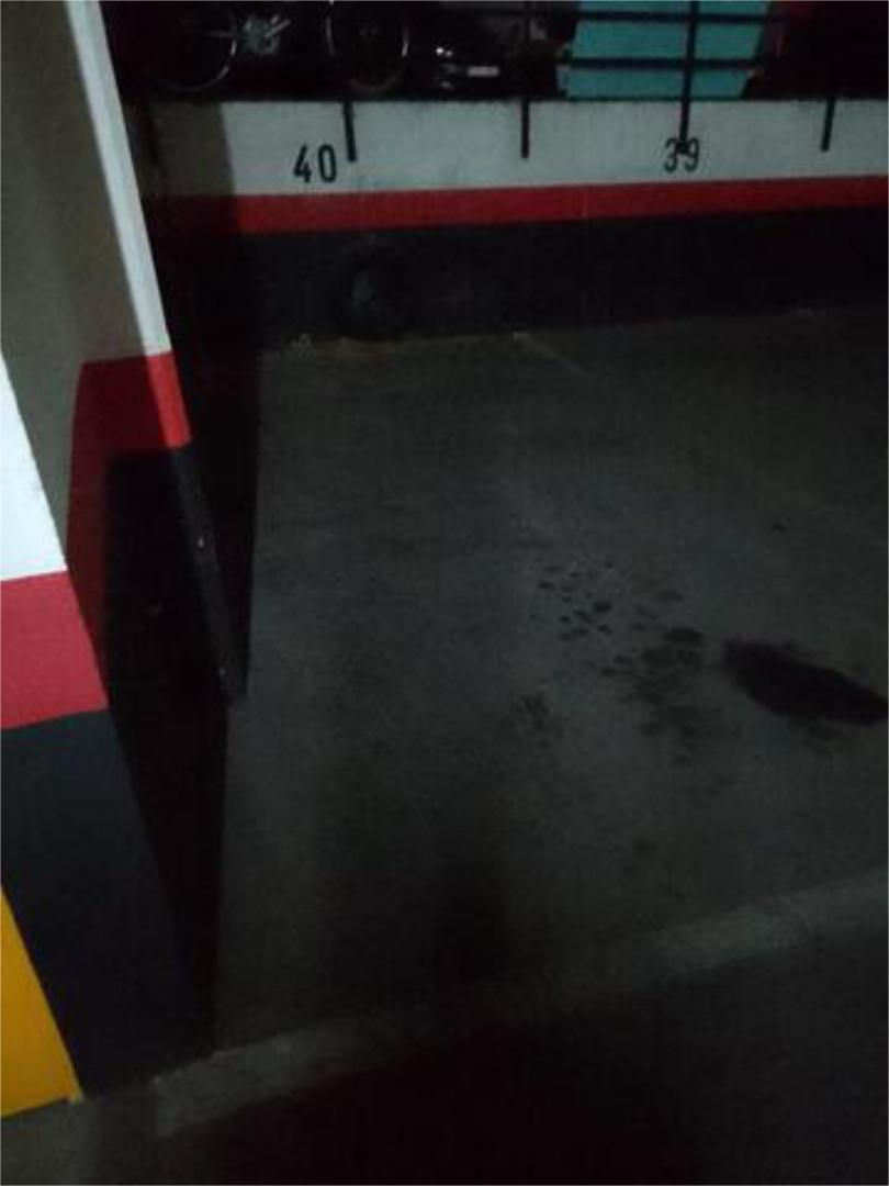 Parking of Garage to rent in  Madrid Capital
