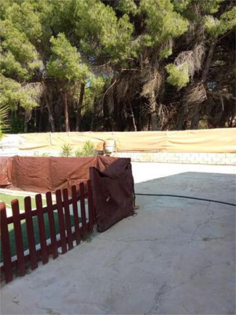 Jardí de Casa adosada de lloguer en Paradas amb Jardí privat i Piscina