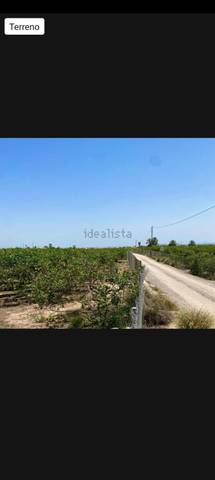 Terreno en Venta en Partida Dehesa la Gp. 14, 61 en Albatera
