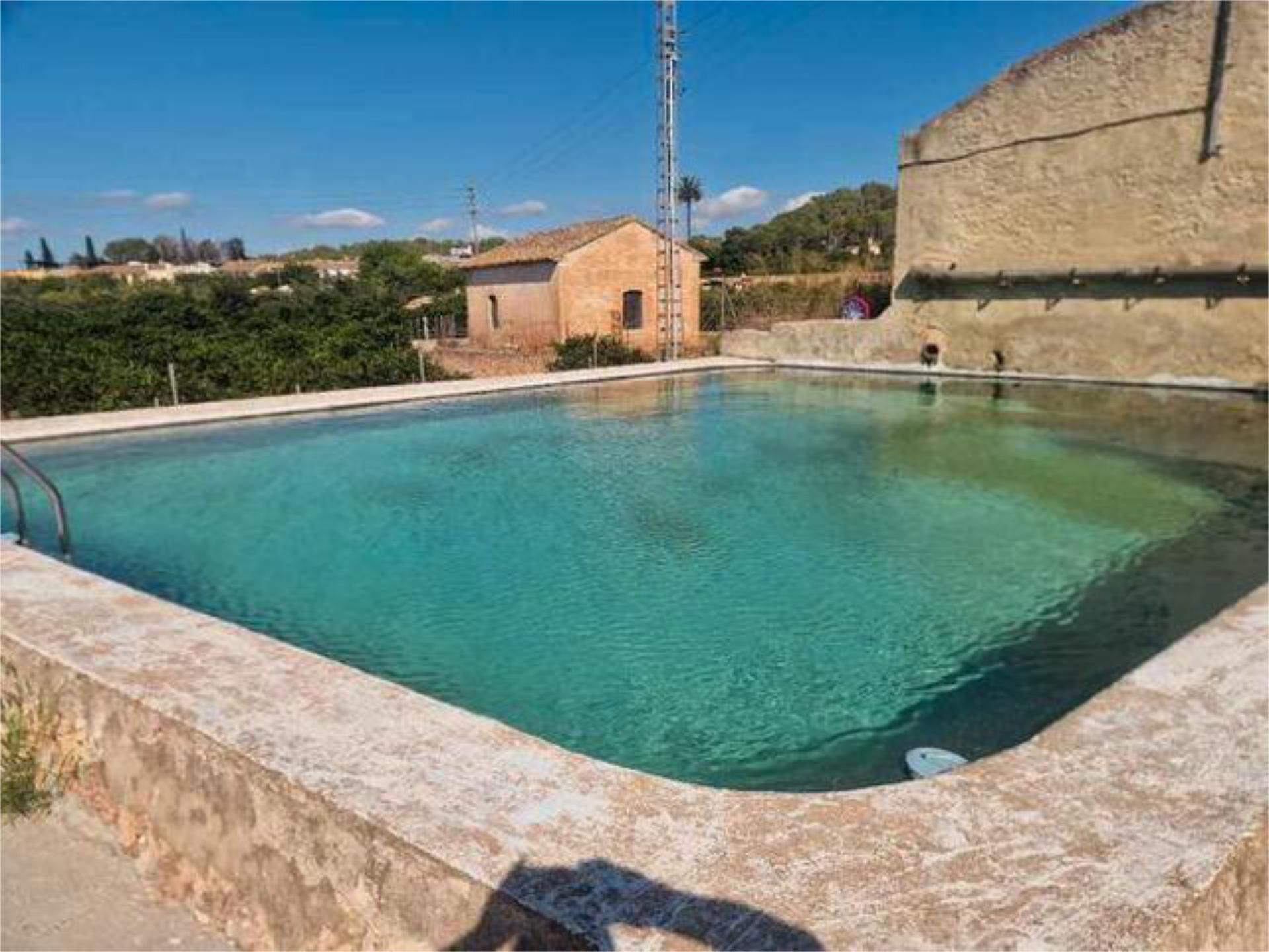 Swimming pool of Single-family semi-detached for sale in Carcaixent