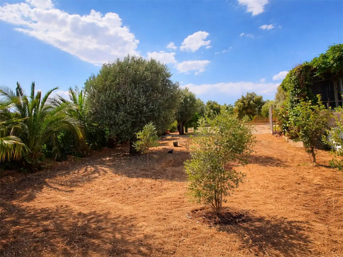 Pis en venda a Carrer Nou, 74, Masdenverge Pis en venda en Masdenverge amb Aire condicionat, Calefacció i Jardí privat
