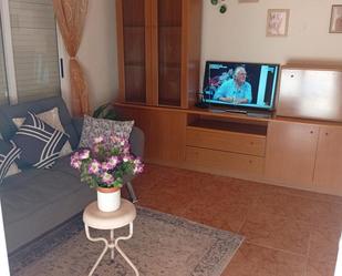 Sala d'estar de Pis en venda en Elche / Elx amb Calefacció i Moblat