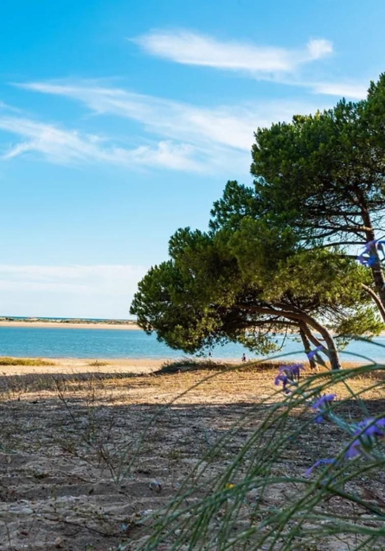Casa o xalet en venda en El Portil amb Aire condicionat, Calefacció i Terrassa