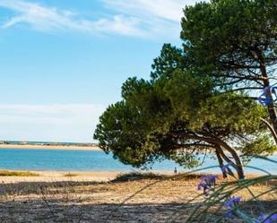 Casa o xalet en venda en El Portil amb Aire condicionat, Terrassa i Piscina