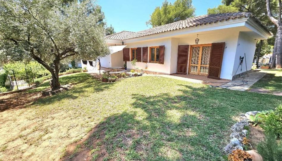 Piso de alquiler en Avenida la Pobla, 292, Montornés - Las Palmas - El Refugio, Castellón - imagen 1 Foto 1 de Piso de alquiler en Avenida la Pobla, 292, Montornés - Las Palmas - El Refugio, Castellón