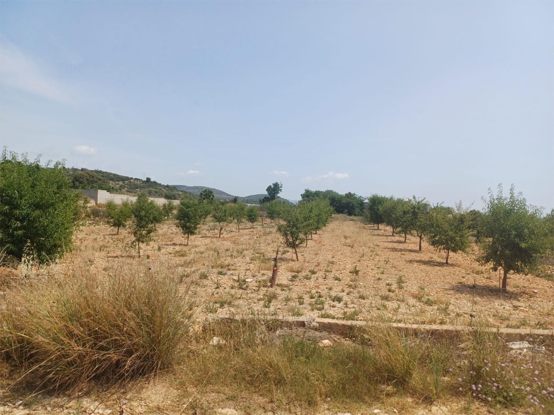 Land for sale in Torreblanca
