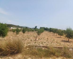 Land for sale in Torreblanca