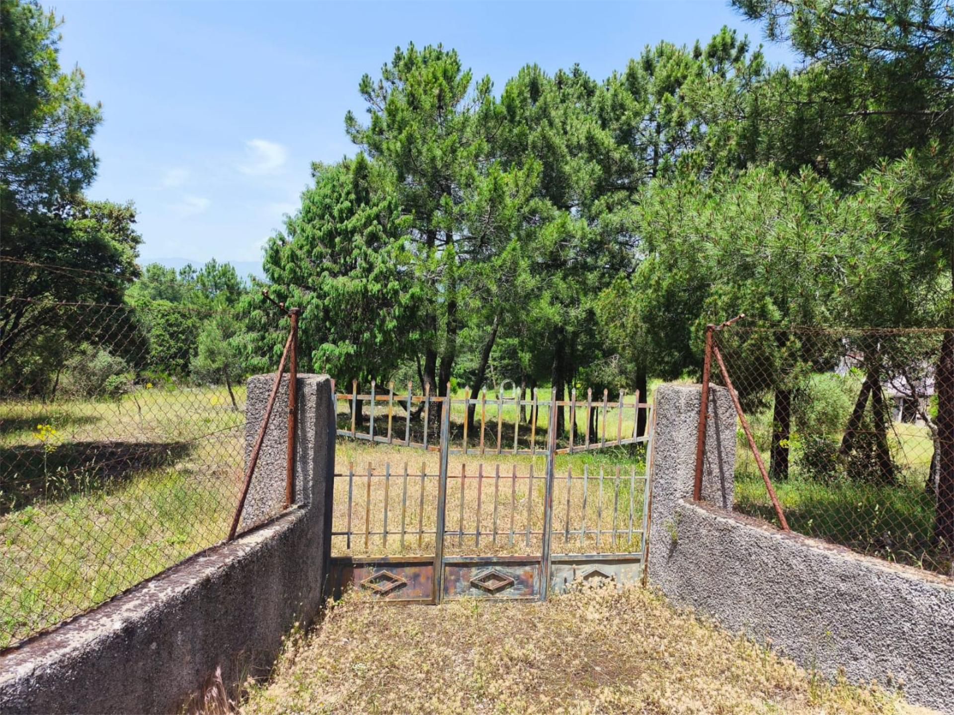 Constructible Land for sale in Cenicientos