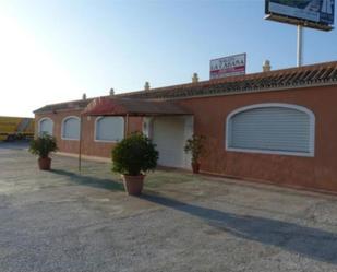 Non-constructible Land for sale in Estepona