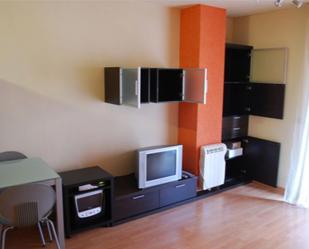 Sala d'estar de Pis de lloguer en  Lleida Capital amb Aire condicionat, Calefacció i Parquet