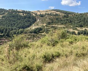Finca rústica de lloguer en Montferrer i Castellbò