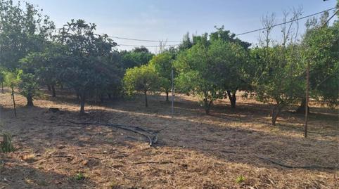 Photo 2 of Flat for sale in Calle Ronda Norte, 1, Torre de la Reina, Sevilla