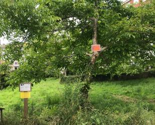 Constructible Land for sale in Fene