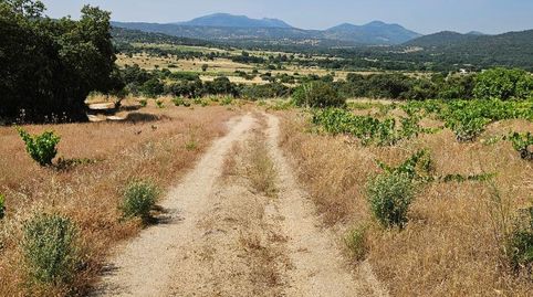 Foto 3 de Terreno en venta en Vial Camino, 18, San Martín de Valdeiglesias, Madrid