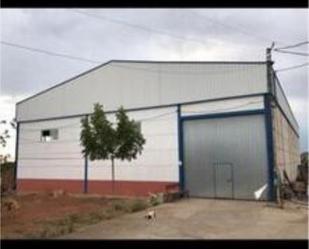 Exterior view of Industrial buildings to rent in Linares