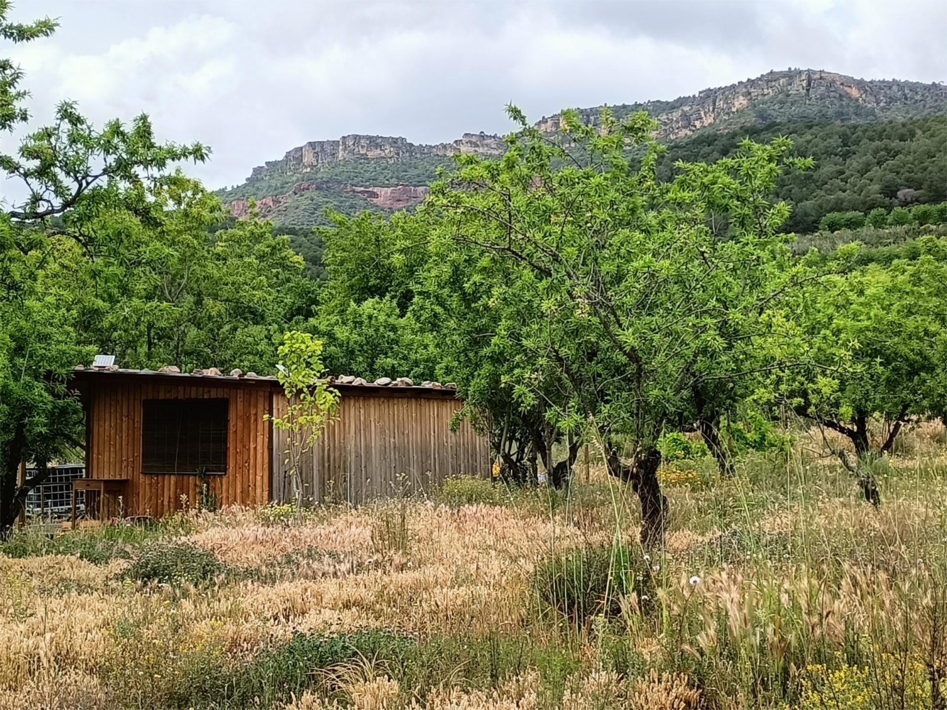 Land for sale in Vilaplana