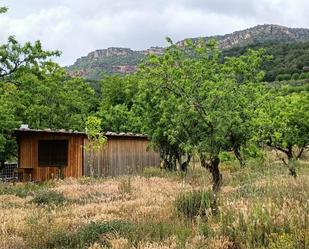 Land for sale in Vilaplana