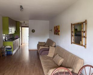 Sala d'estar de Estudi de lloguer en Mijas amb Jardí privat, Parquet i Traster