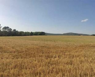 Non-constructible Land for sale in Alcocer