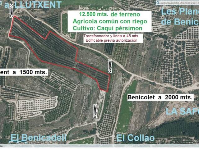 Terreno en Venta en Plaça Numero 16, 504 en Llutxent