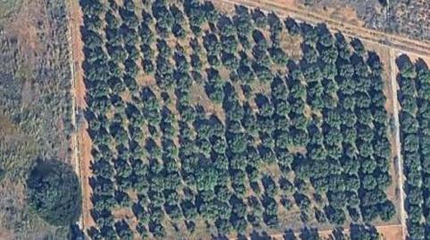 Foto 2 de Terreny en venda a Carrer del Llimoner, 41d, La Presa - Collado - La Malla, Valencia