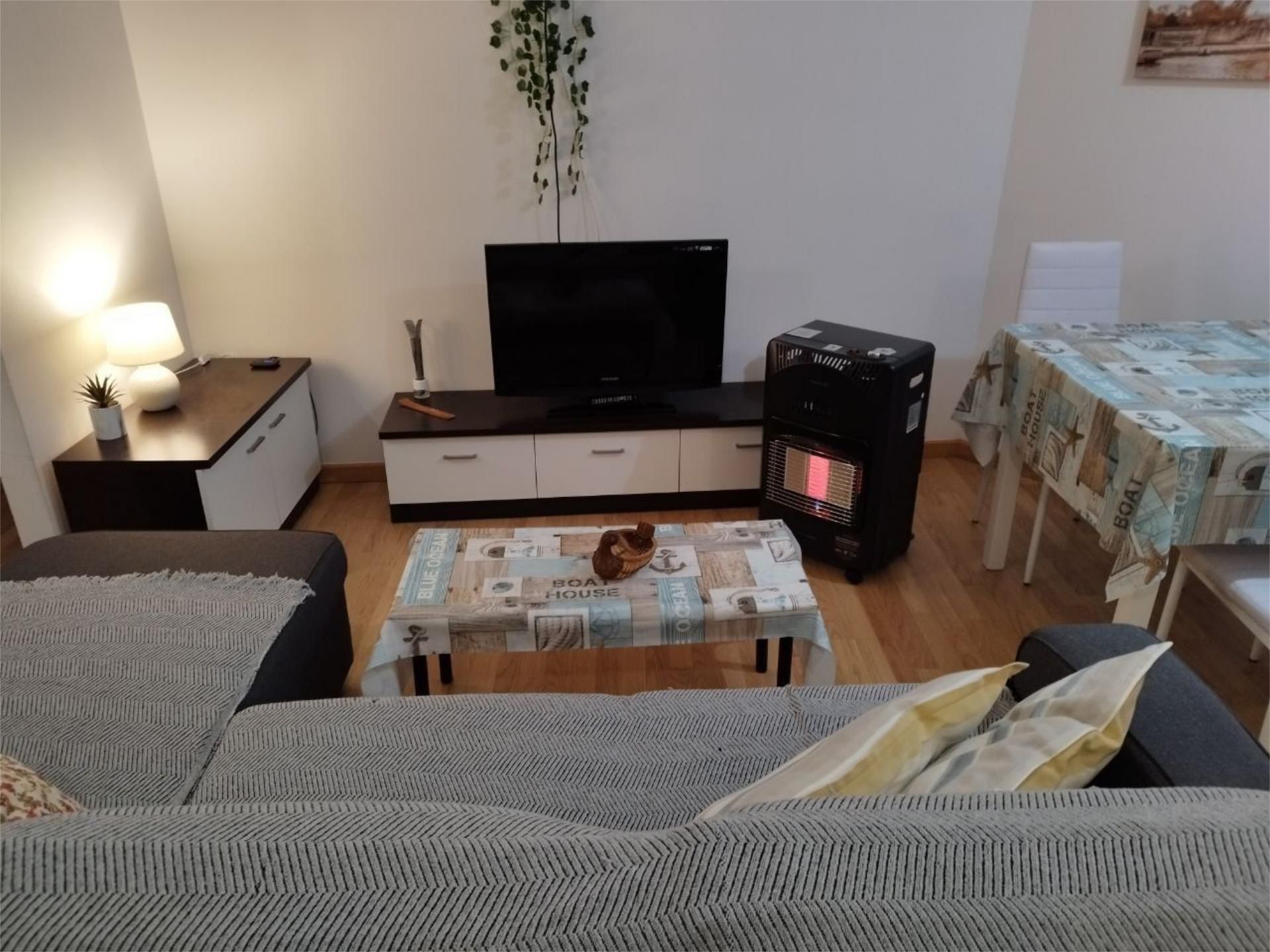 Sala d'estar de Pis de lloguer en Baiona amb Calefacció, Parquet i Moblat
