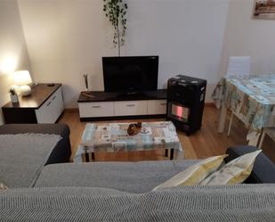 Sala d'estar de Pis de lloguer en Baiona amb Calefacció, Parquet i Moblat
