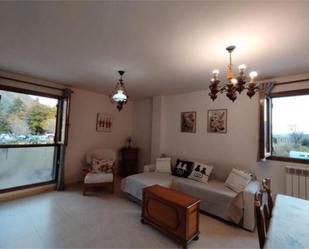 Sala d'estar de Apartament de lloguer en Biescas amb Moblat