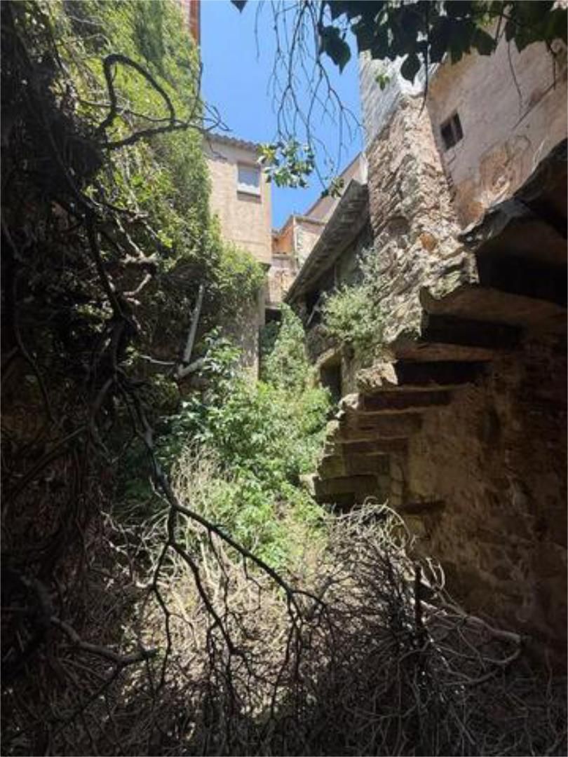 Vista exterior de Casa o xalet en venda en Sanaüja