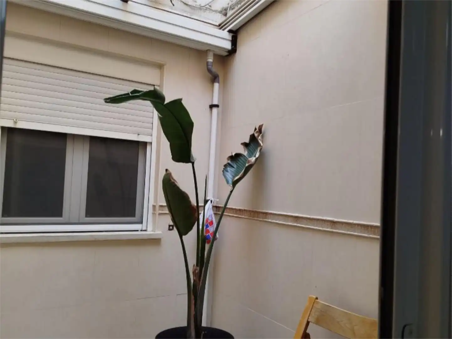 Garden of Flat for sale in Yecla  with Air Conditioner, Heating and Parquet flooring