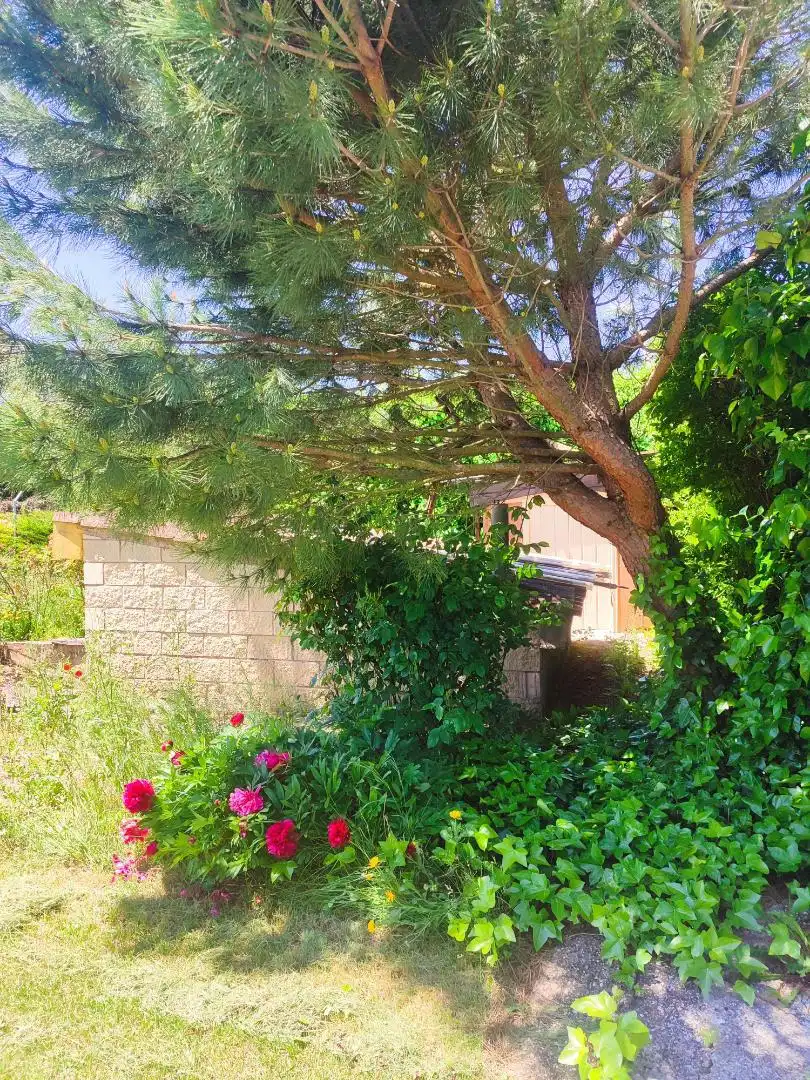 Garden of Country homes for sale in Villariezo