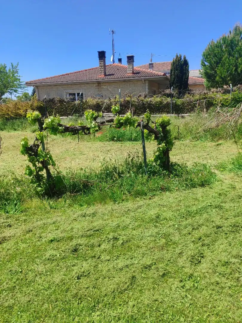 Country homes for sale in Villariezo
