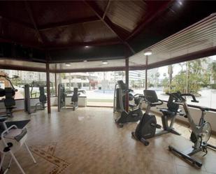 Apartment to rent in Zona Levante - Playa Fossa
