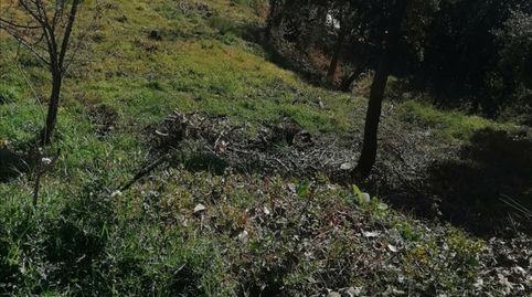 Foto 3 de Terreno en venta en Calle Carrer del Segre, 7, Lliçà d'Amunt, Barcelona