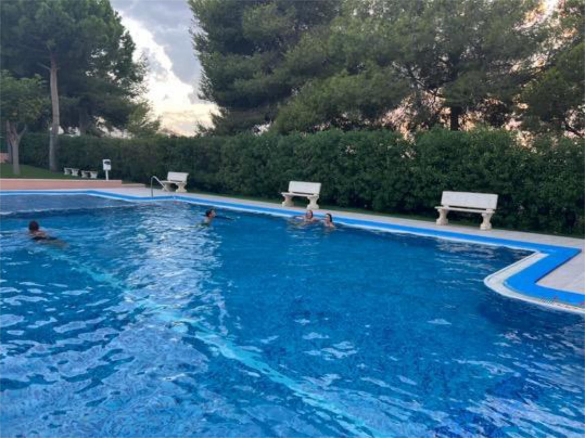 Piscina de Apartament en venda en Torrevieja amb Terrassa i Piscina