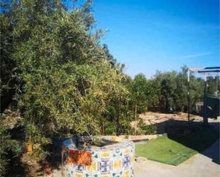 Single-family semi-detached to rent in Valle del Sol