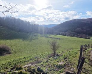 Non-constructible Land for sale in Larraun
