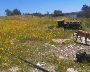 Non-constructible Land for sale in Serranillos del Valle