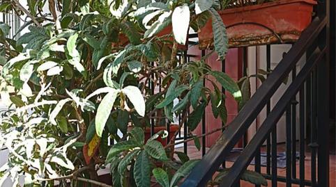 Foto 3 de Casa adosada per a compartir a Carrer Perete, 12, La Cruz, Granada