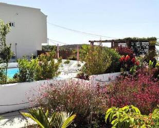 Garden of House or chalet for sale in Arico  with Terrace and Swimming Pool