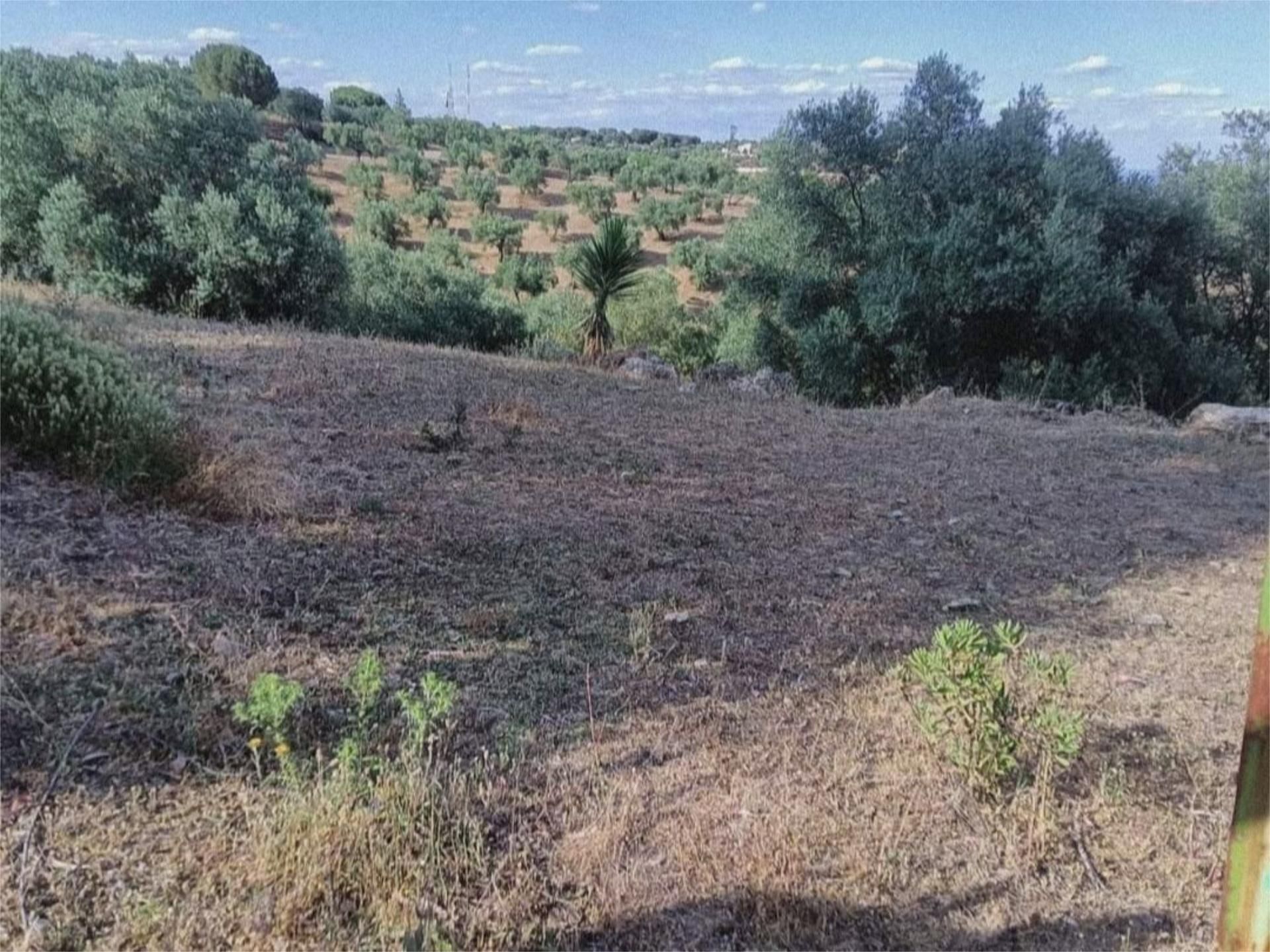 Land for sale in  Córdoba Capital